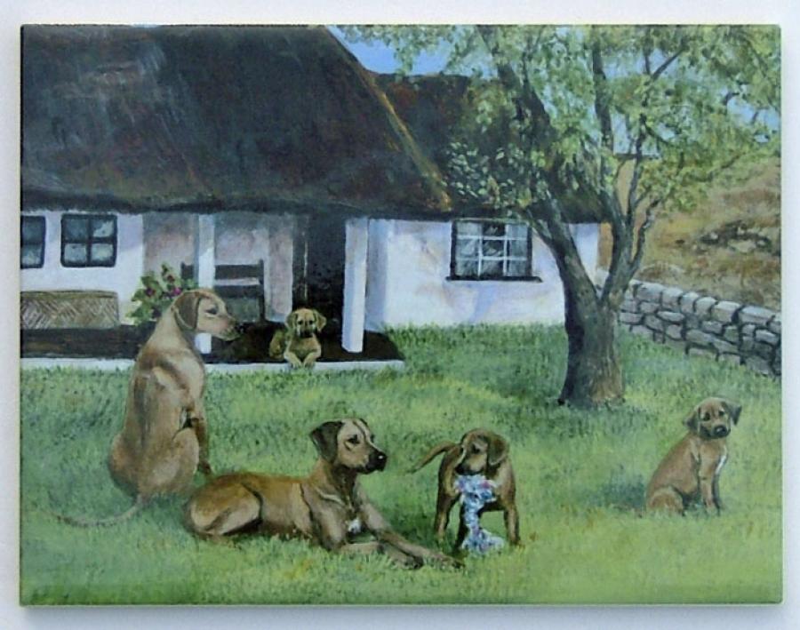 Rhodesian Ridgeback Ceramic Picture Tile #1-6X8