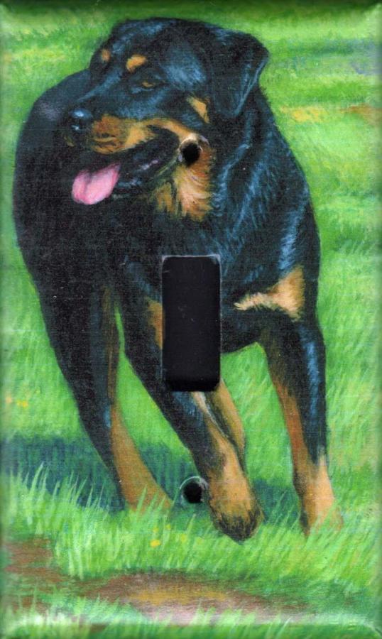 Rottie 1A SLSP-P