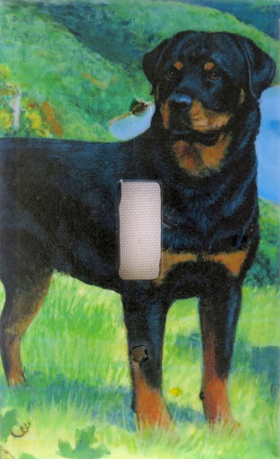 Rottweiler 2B SLSP-P
