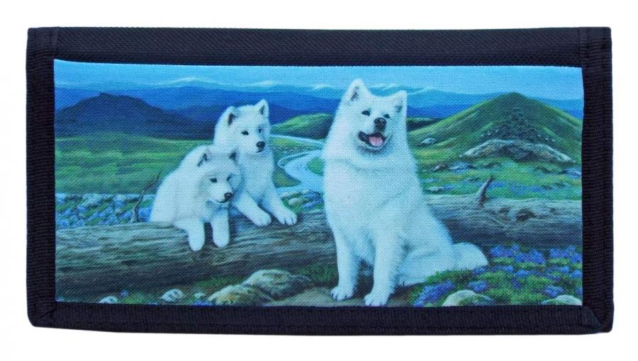 Samoyed checkbook 2