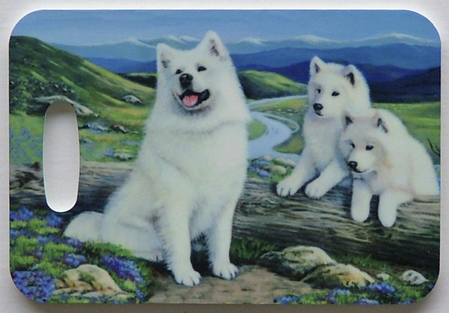 Samoyed 2-LT