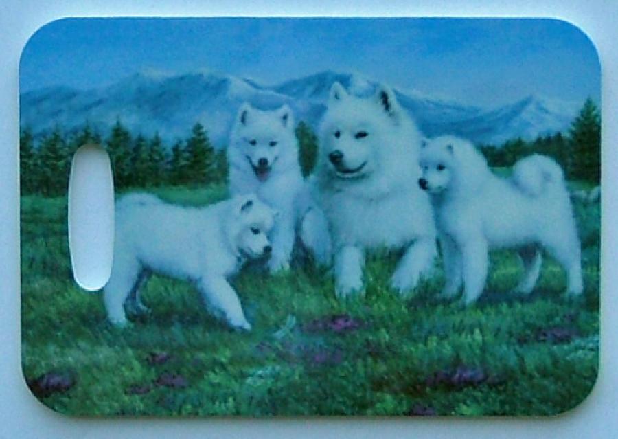 Samoyed 3-LT