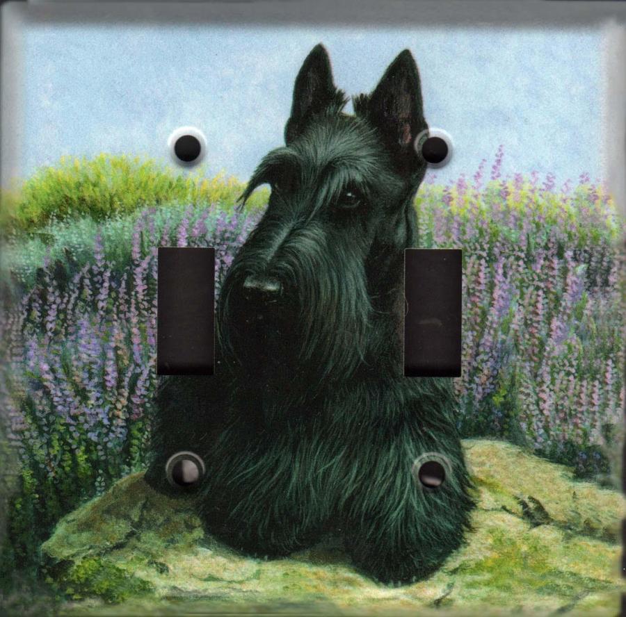 Scottie 1A DLSP-M