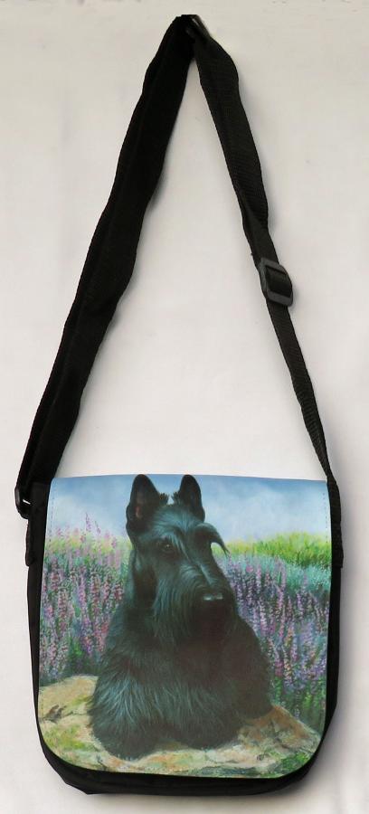 Scottie 1A small messenger bag-front