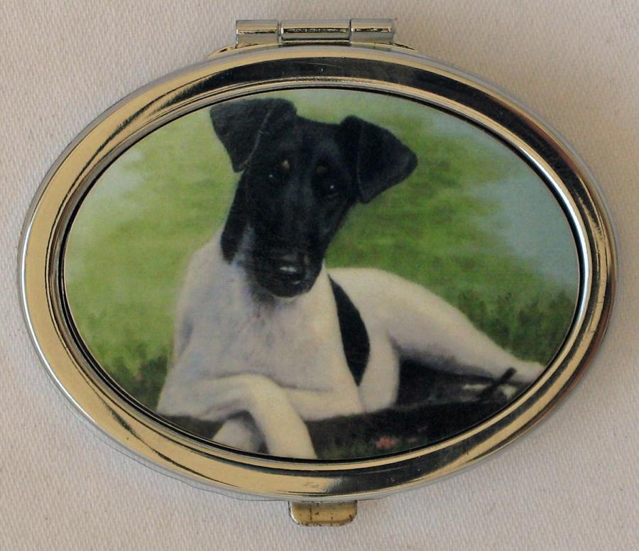 Fox Terrier, Smooth 1 compact