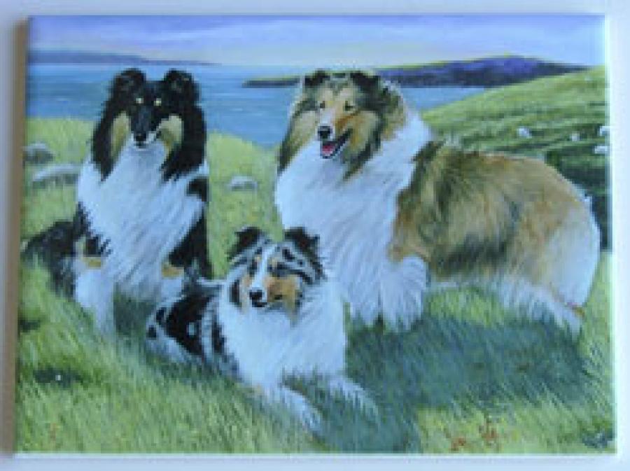 Sheltie #1 - 6x8 Ceramic Picture Tile