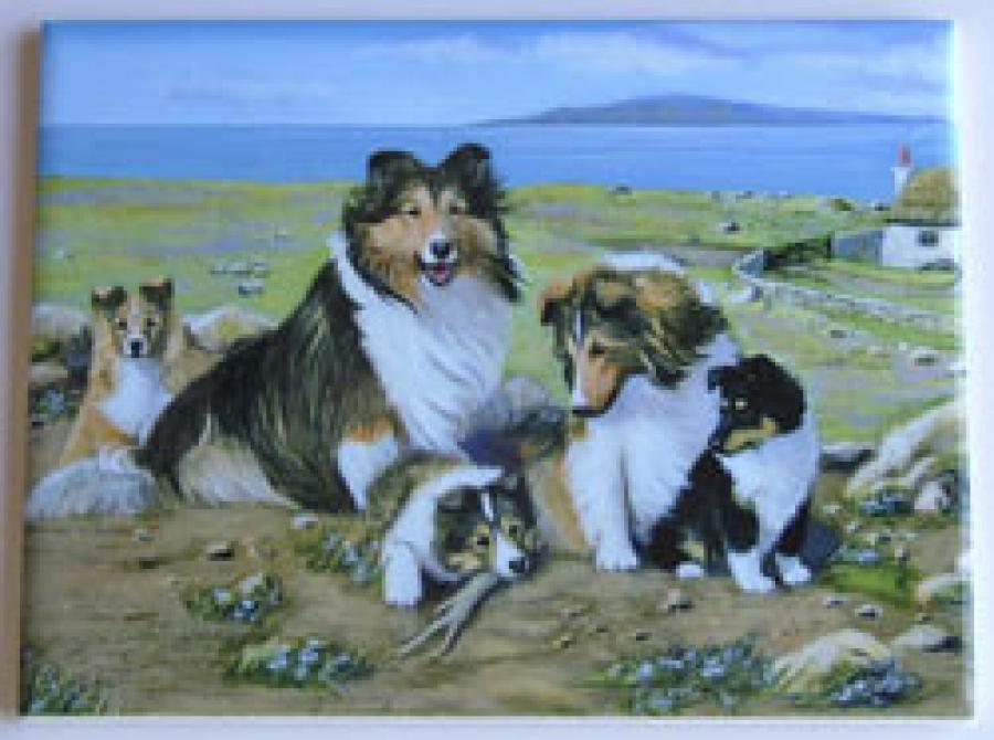 Sheltie #3 - 6x8 Ceramic Picture Tile