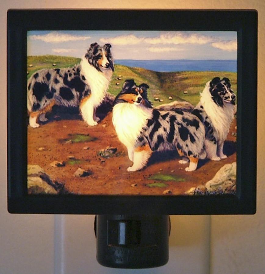 Sheltie Picture Nightlight #2