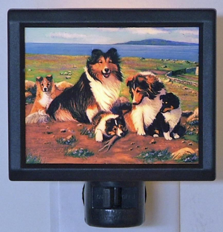 Sheltie Picture Nightlight #3
