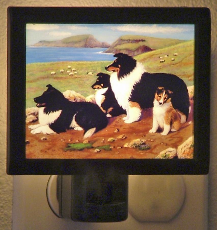 Sheltie Picture Nightlight #4