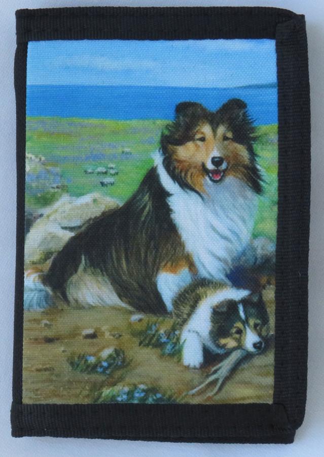 Sheltie 3A trifold