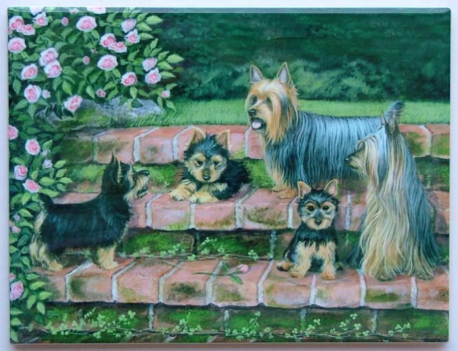 Silky Terrier Picture Tile - 6X8 #1