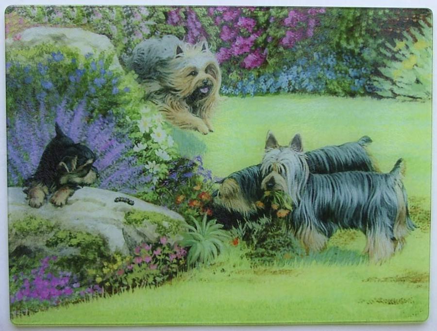 Silky Terrier Tempered Glass Cutting Board #2