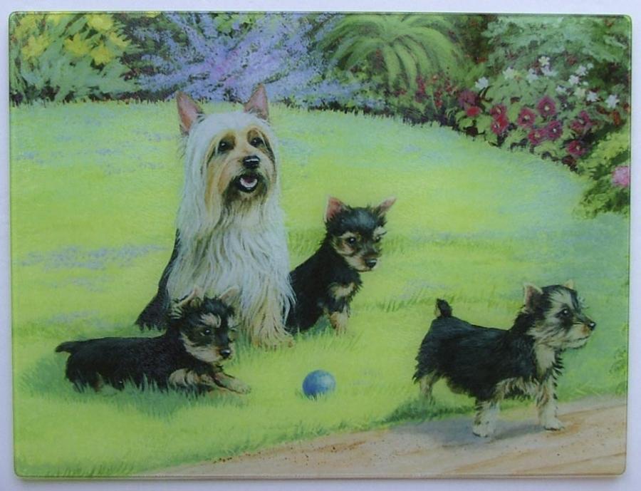 Silky Terrier Tempered Glass Cutting Board #3