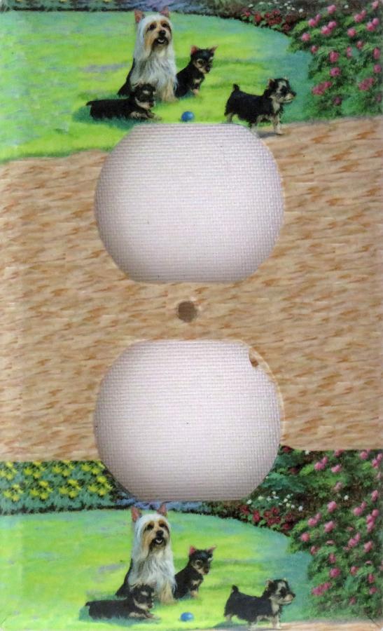 Silky 3A OTLP-P
