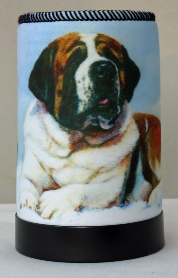 STB 1 koozie - front