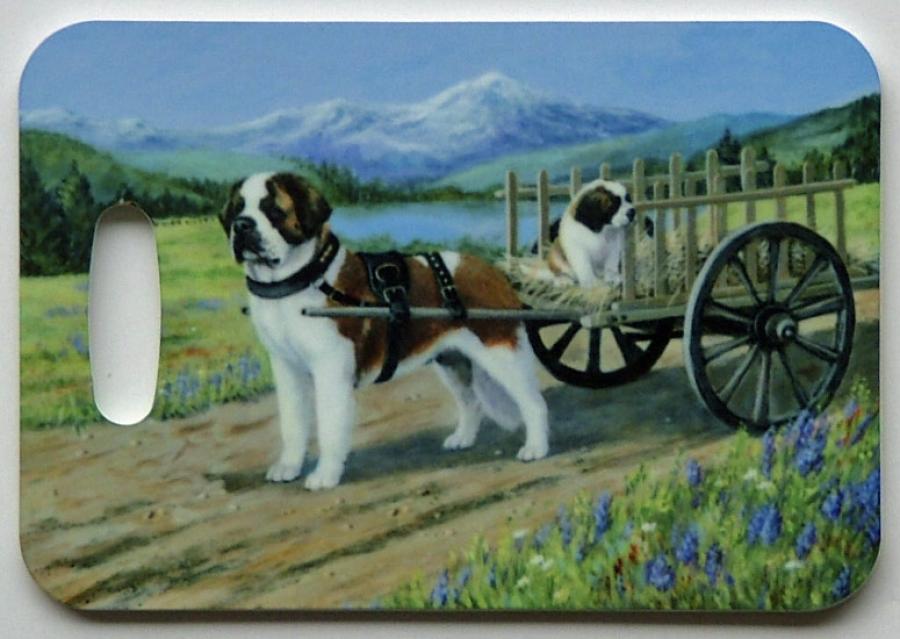 St B bag tag 3