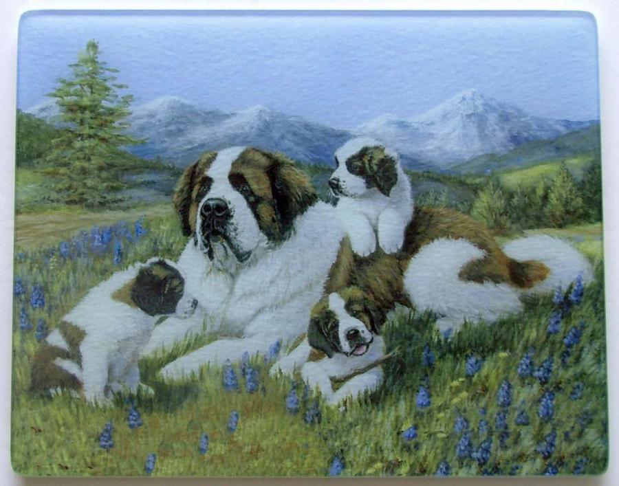 St. Bernard 4 Tempered Glass Cutting Board
