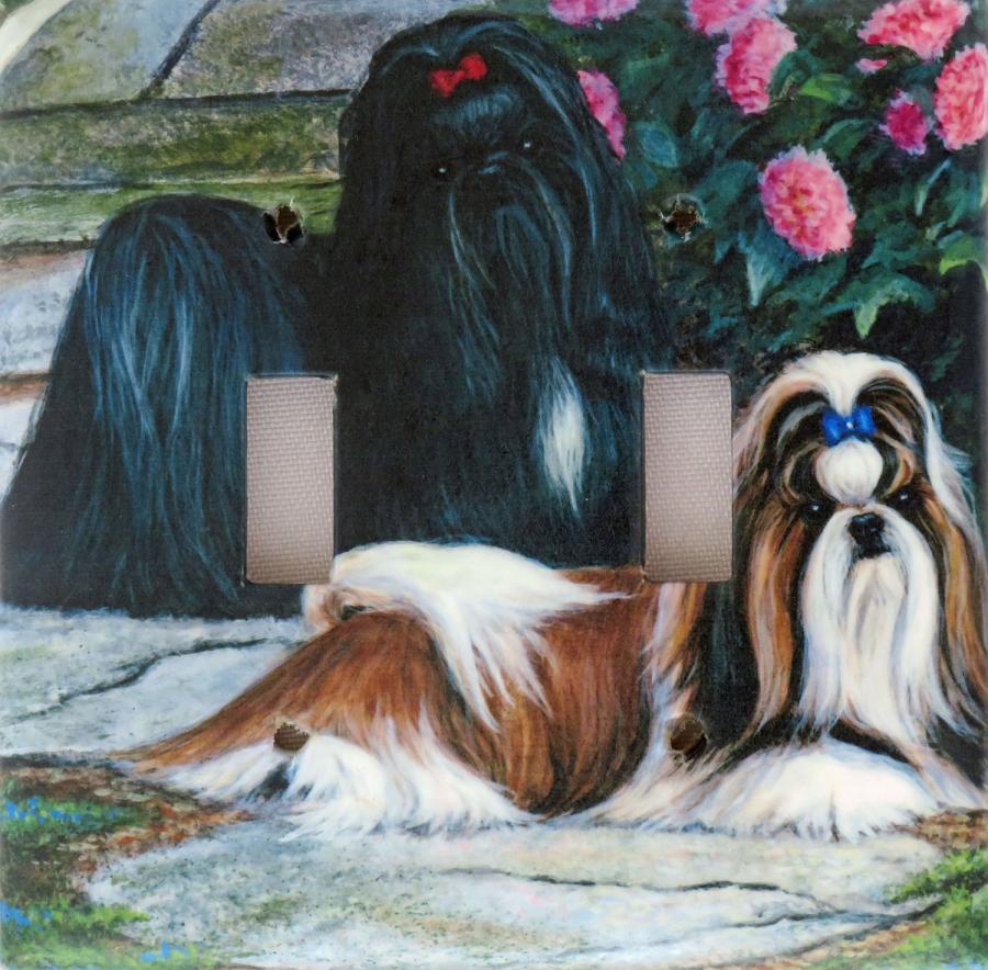 Shih Tzu 1A DLSP-P