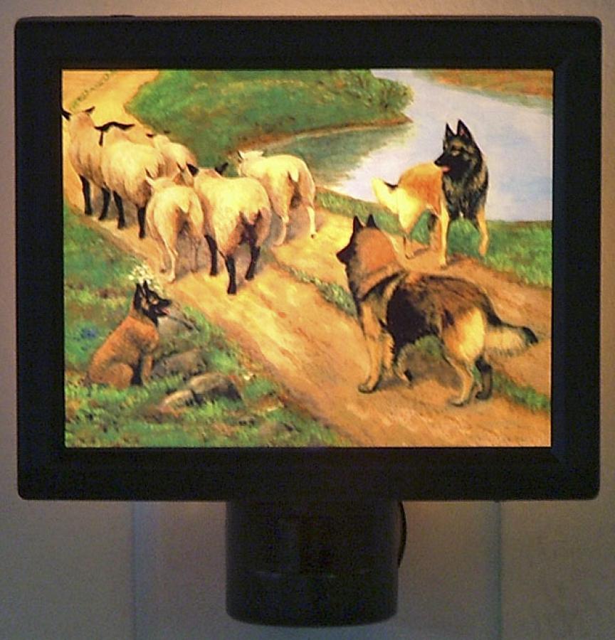 Belgian Tervuren Picture Nightlight #4