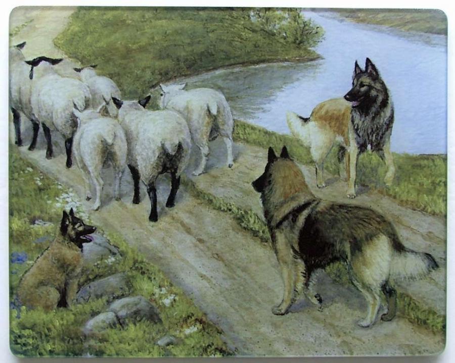 Belgian Tervuren 4 Tempered Glass Cutting Board