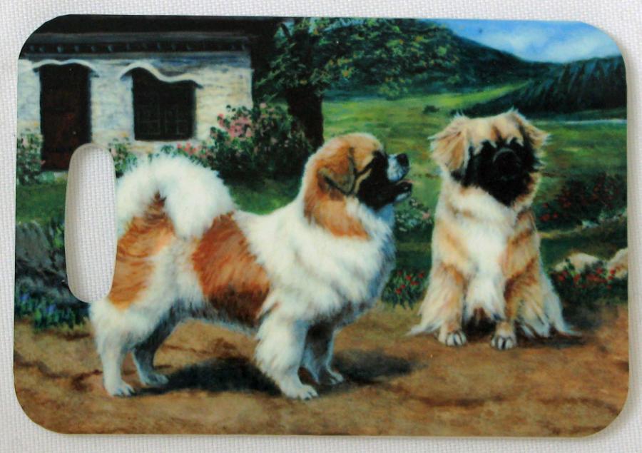 Tibbie 1 luggage tag