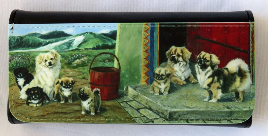 Tibbie 2-3 glasses case