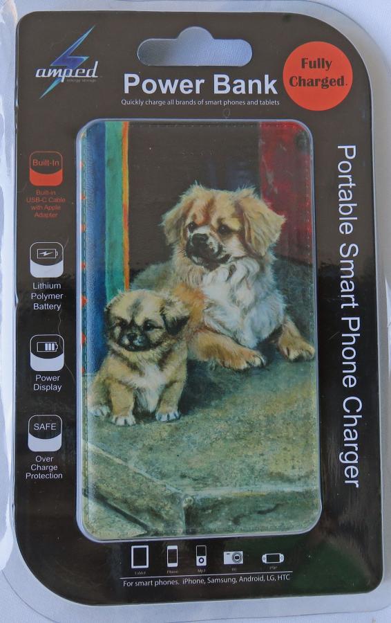 Tibbie 3 power bank packaged