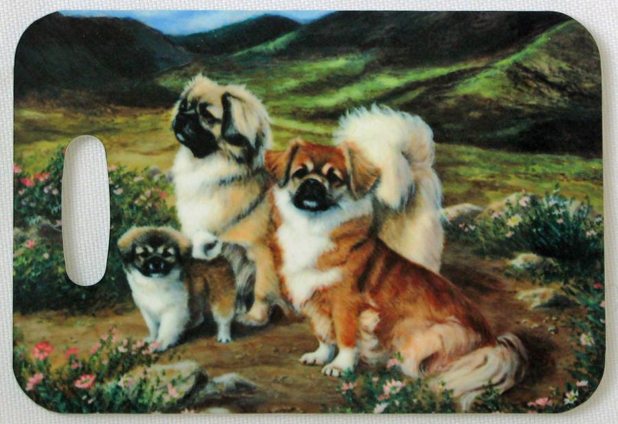 Tibbie 4 luggage tag