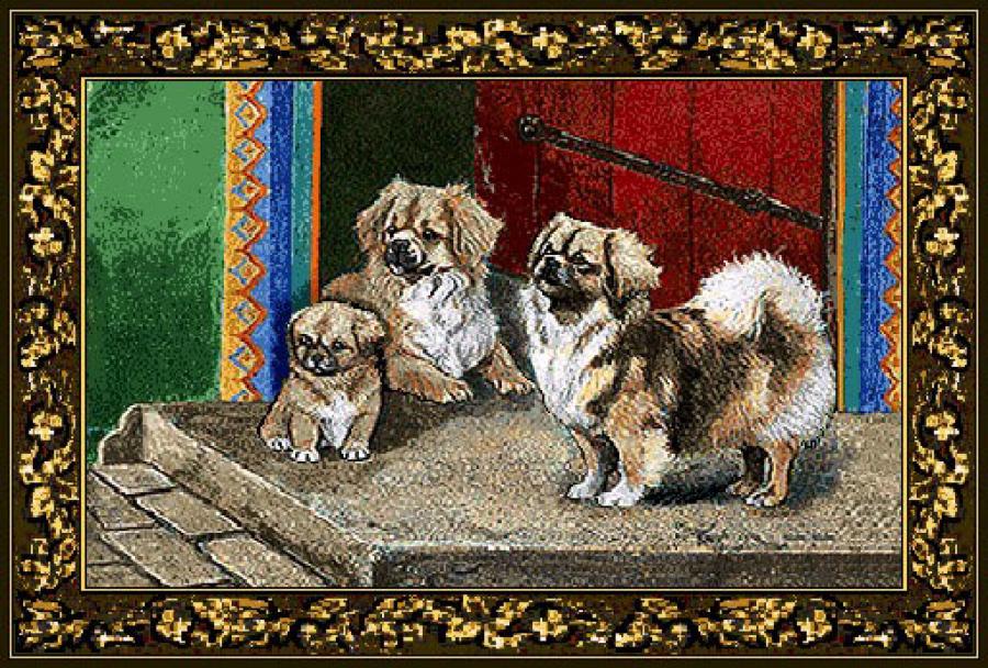 Tibetan Spaniel Tapestry Placemat #3 Single