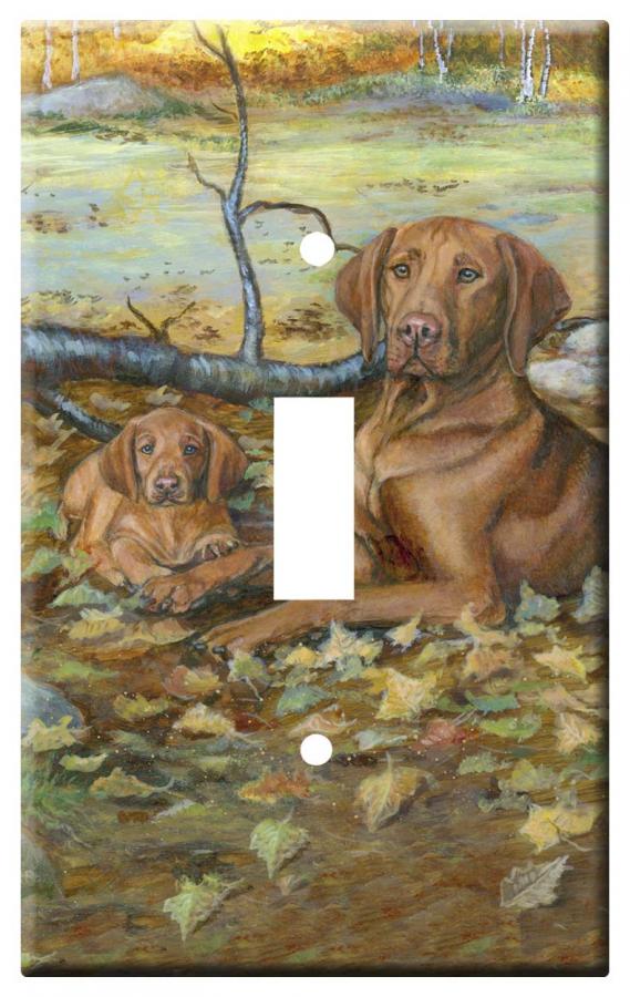 Vizsla 2a-slsp