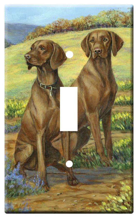 Vizsla 4a-slsp