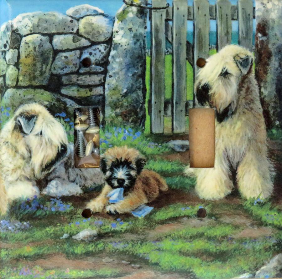 Wheaten 2B DLSP-P