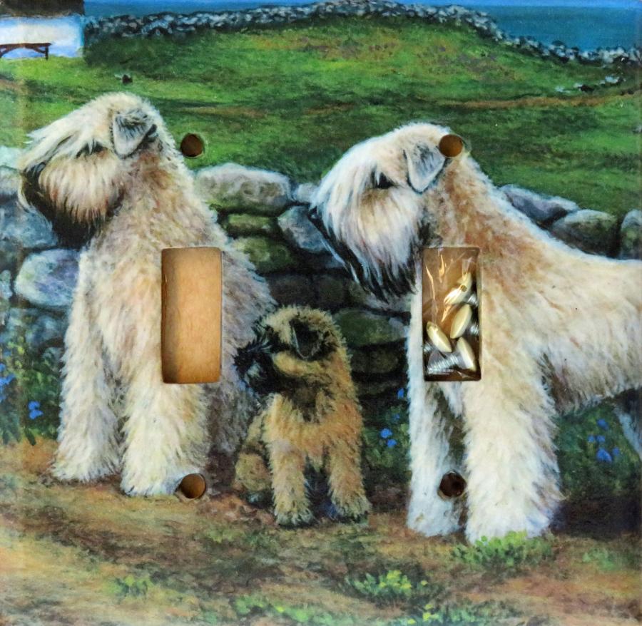 Wheaten 3A DLSP-P
