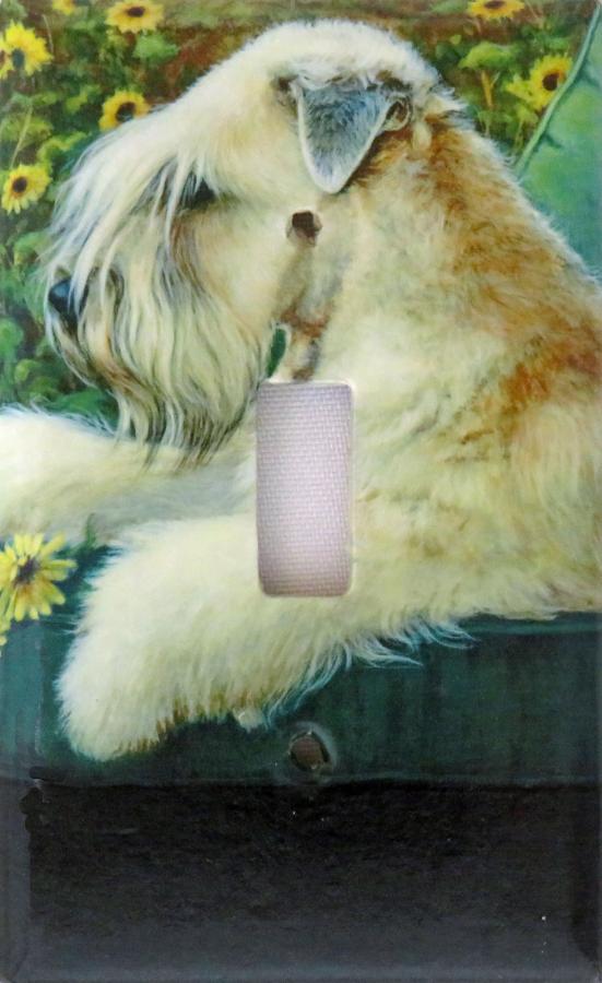 Wheaten 5A SLSP-P