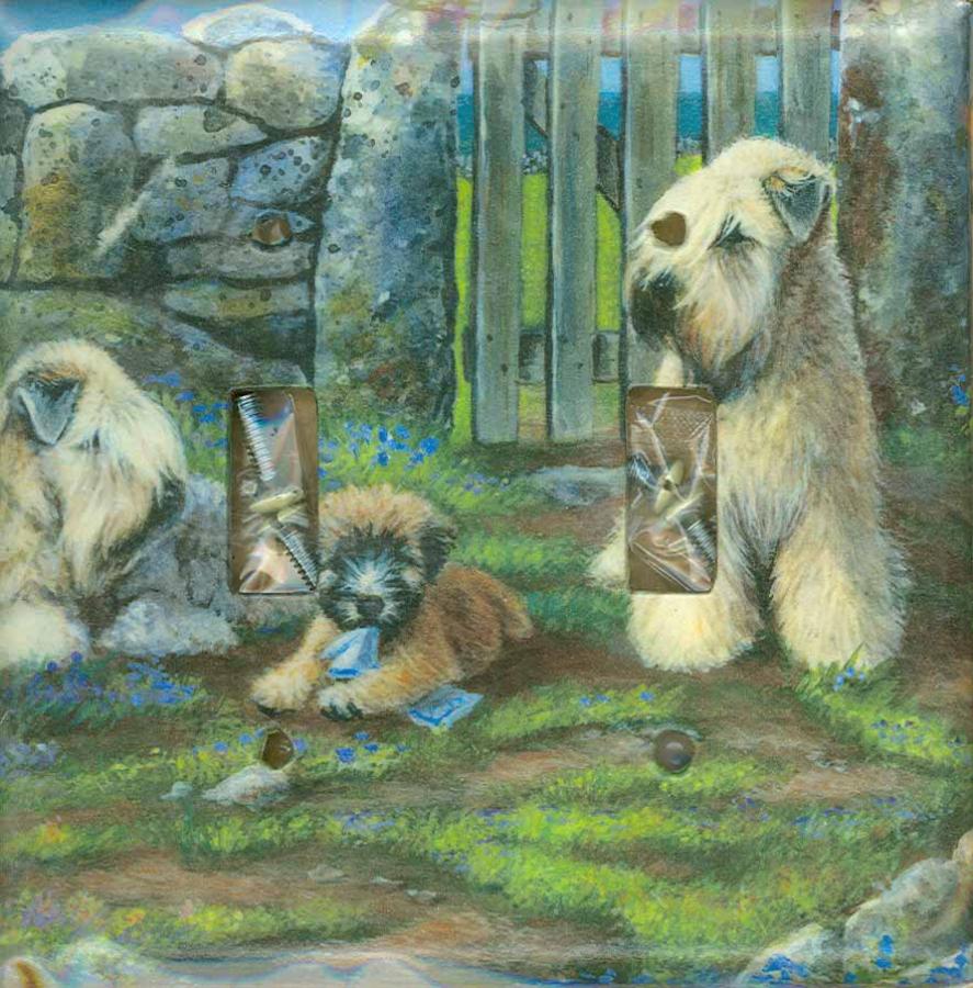 Wheaten Picture Double Light Switch Plate #2B