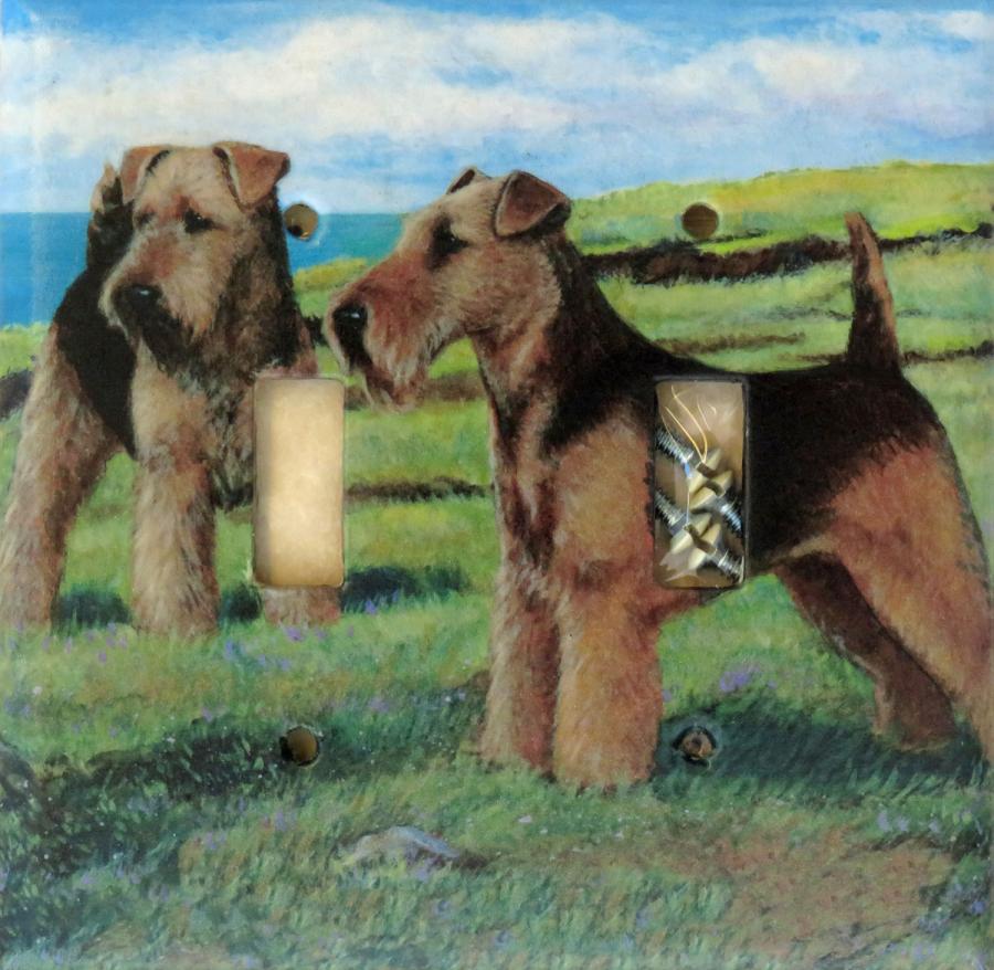 Welsh Terrier 1A DLSP-P