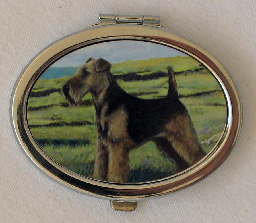 Welsh Terrier 1B compact