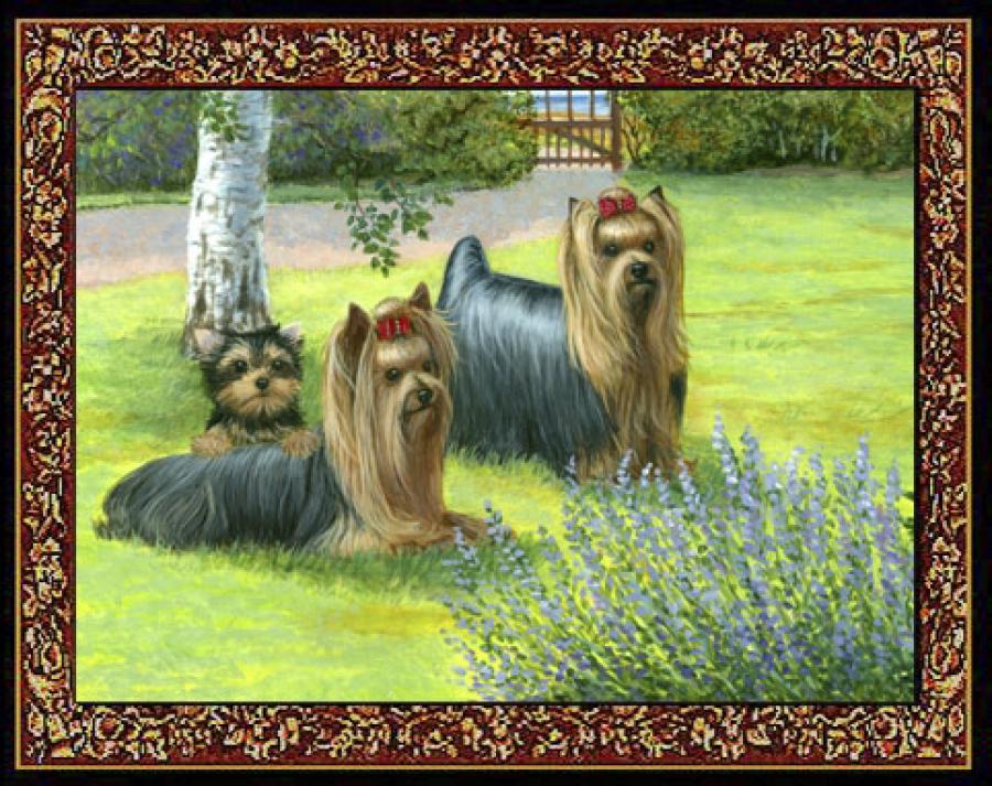 Yorkshire Terrier 2 Single Tapestry Placemat