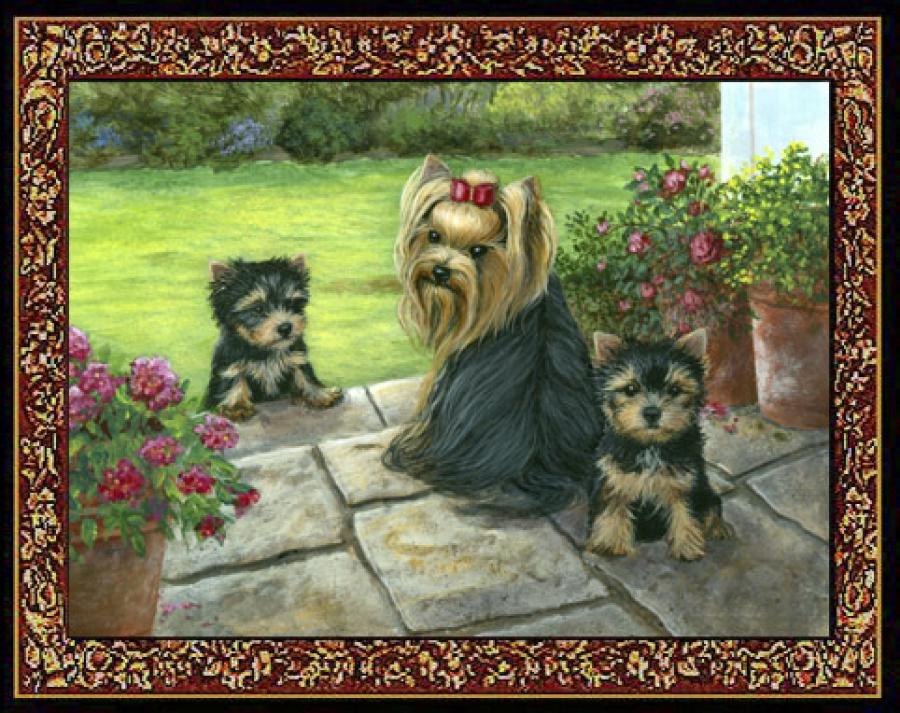 Yorkshire Terrier 3 Single Tapestry Placemat
