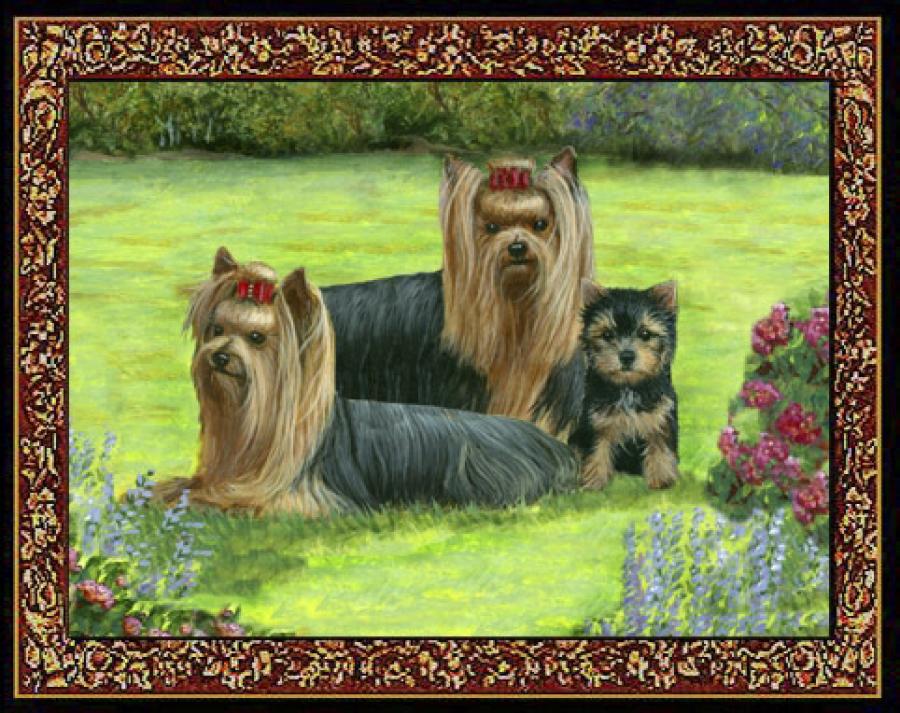 Yorkshire Terrier 4 Single Tapestry Placemat