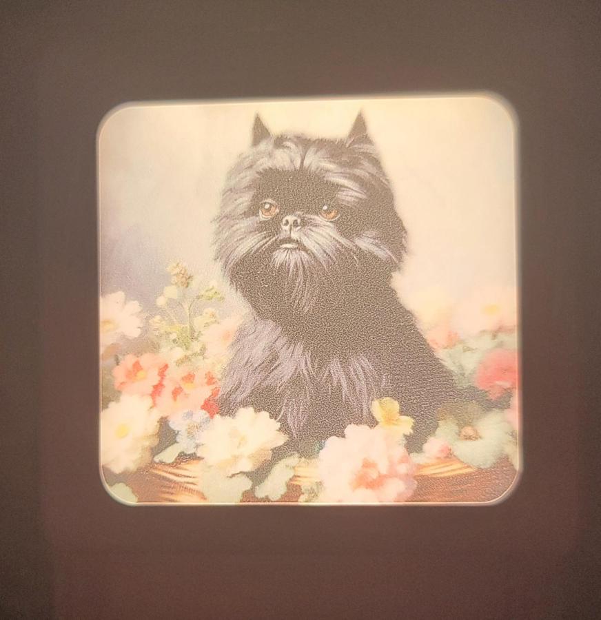 Affen 2 nightlight on