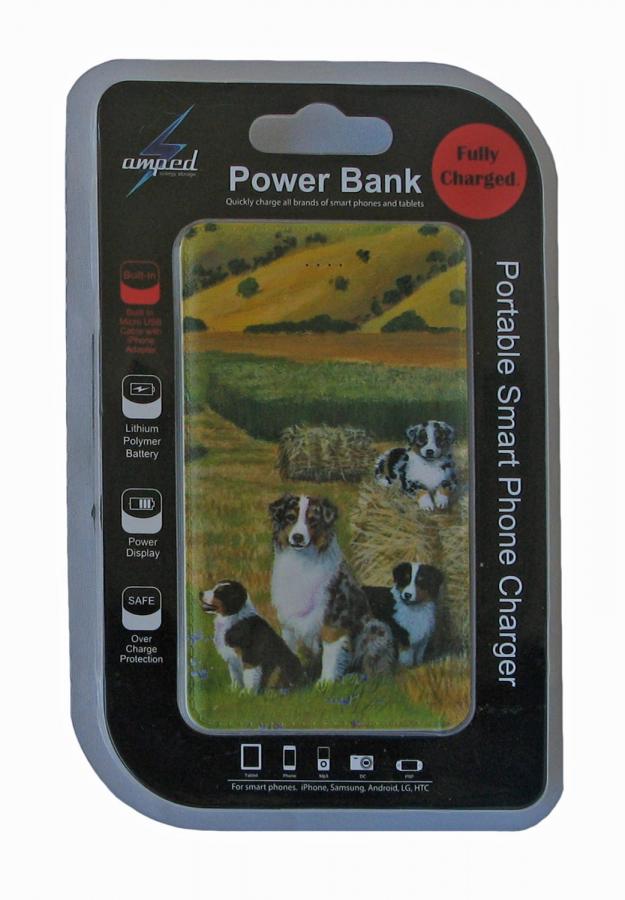 aussie 4 power bank package