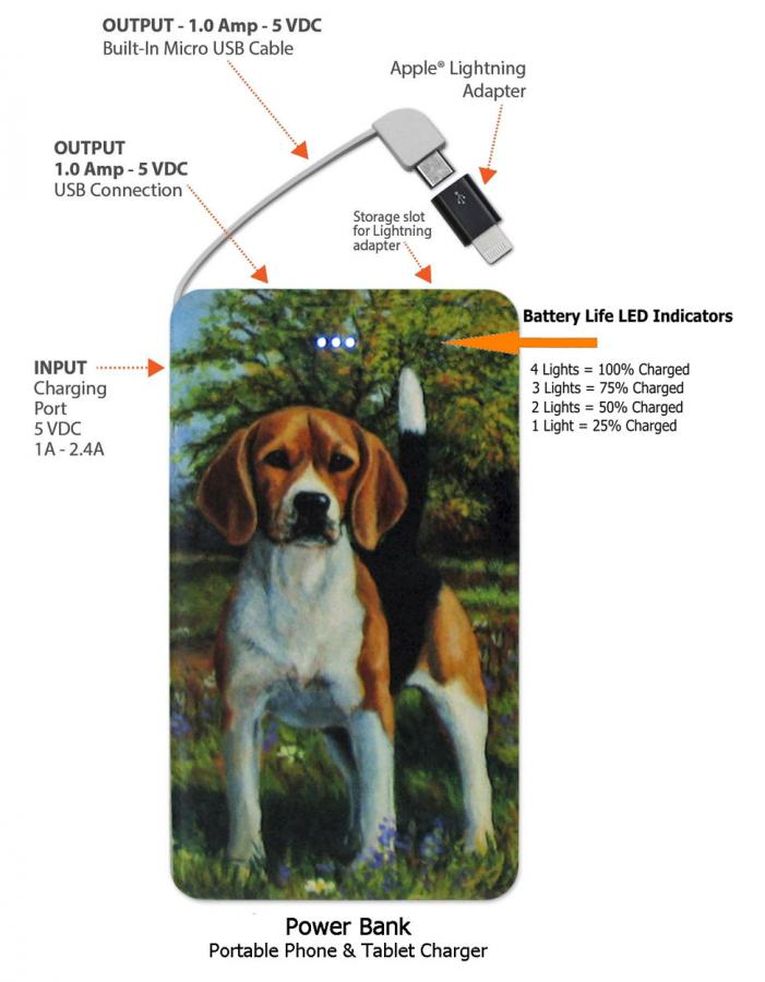 Beagle 4a-pbk