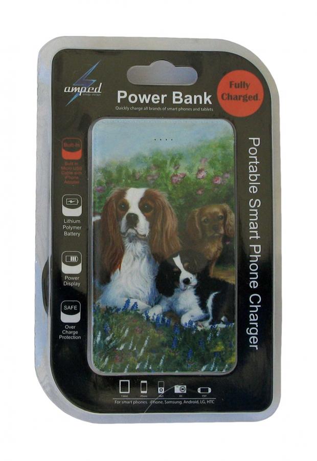 Cavalier power bank package