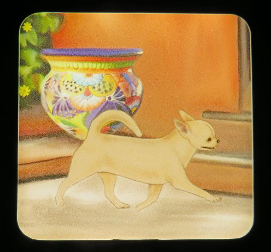 Chihuahua 4A nightlight -on