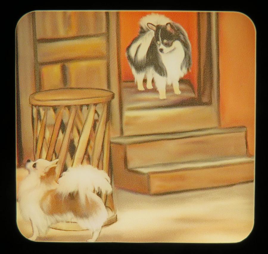 Chihuahua 4B nightlight-on