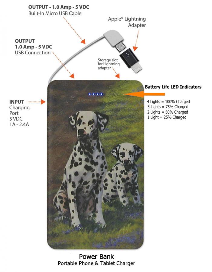 Dalmatian-2b-pbk