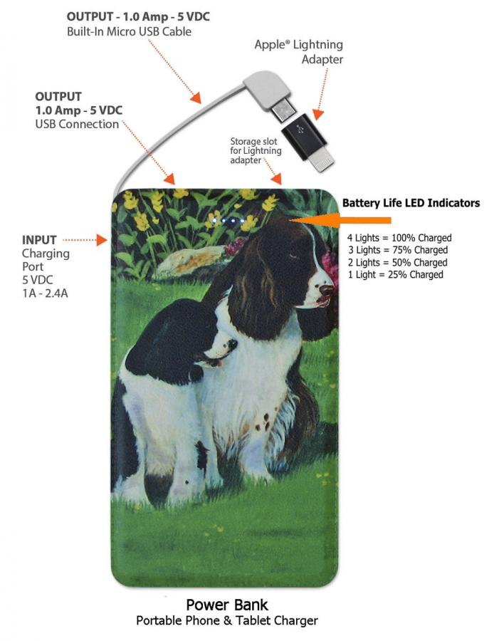 Eng Springer 1-pbk