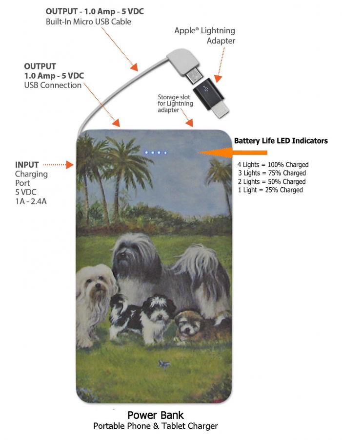 Havanese 4-pbk